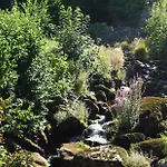 Pfaff Triberg im Schwarzwald