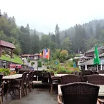 Pfaff 3*