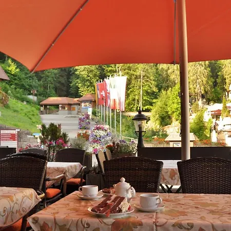 Pfaff Hotel 3*