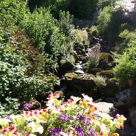 Pfaff Triberg im Schwarzwald