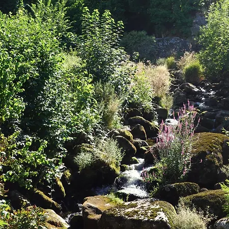 Pfaff Triberg im Schwarzwald