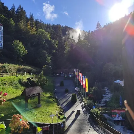 Hotel Pfaff 3*