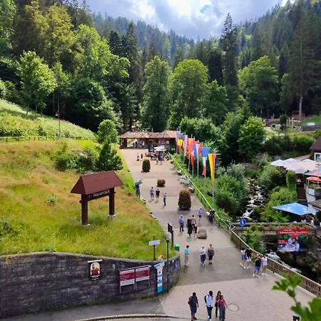 Pfaff Triberg im Schwarzwald