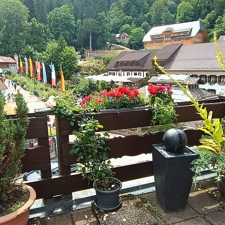 Pfaff 3* 트리베르크