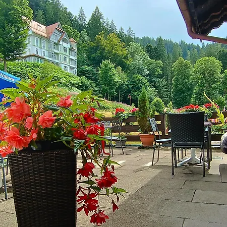 Pfaff Ξενοδοχείο Triberg im Schwarzwald