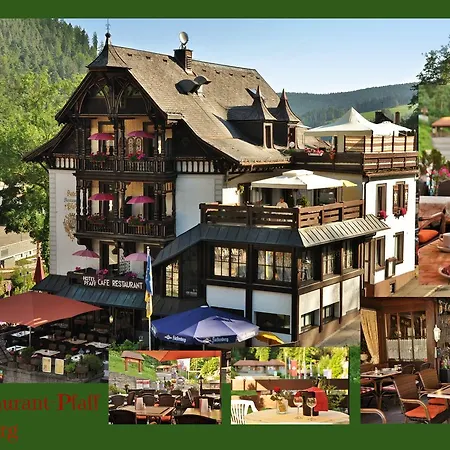 Hotel Pfaff 3*