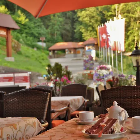 Pfaff Hotel Triberg im Schwarzwald