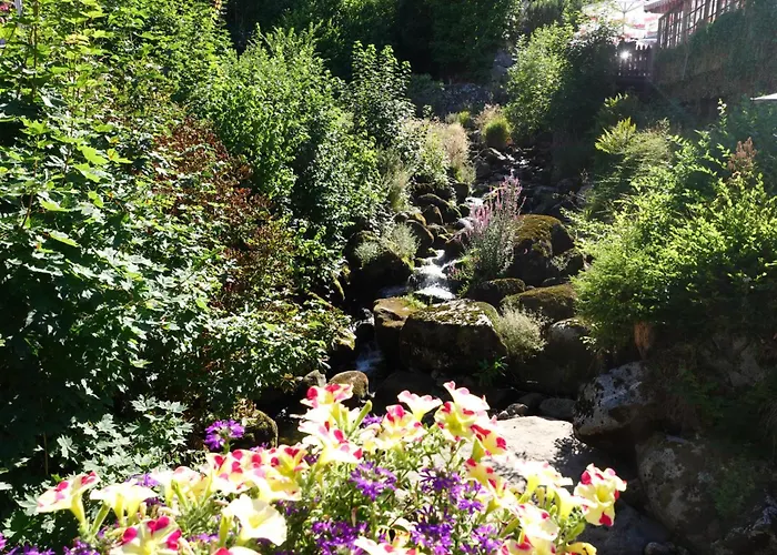 Pfaff Triberg im Schwarzwald