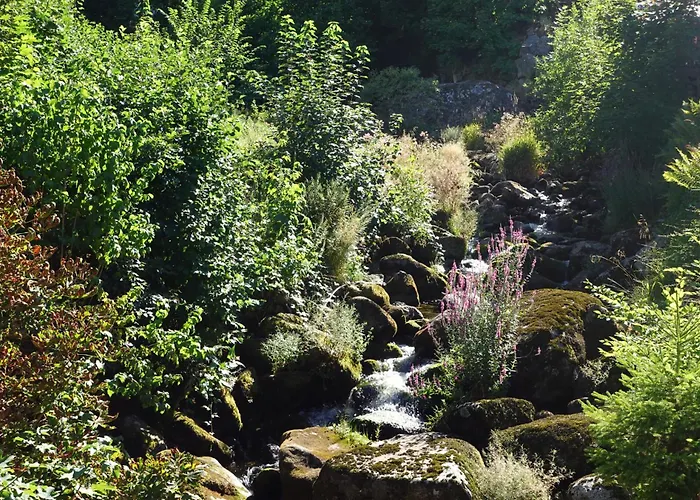 Pfaff 트리베르크