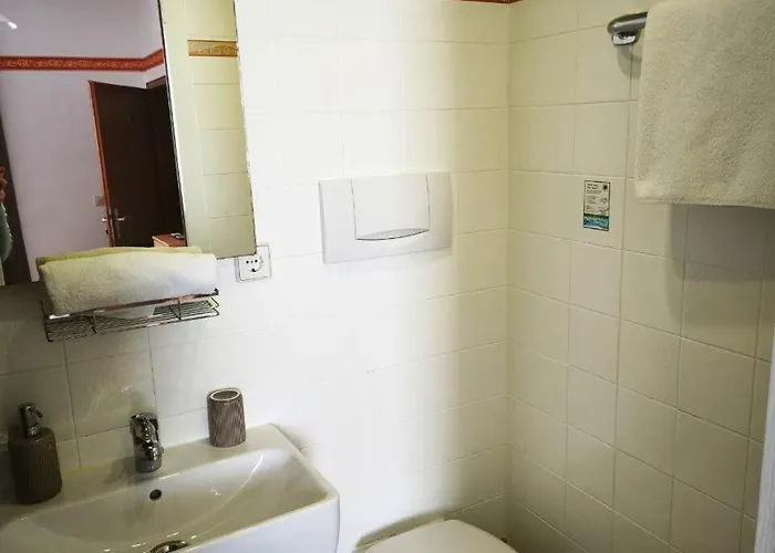 Pfaff 트리베르크