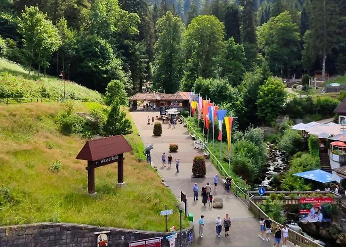 Pfaff 트리베르크