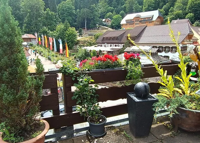 Pfaff 3* 트리베르크